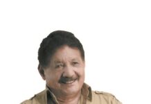 JUVENAL RAVELO: Las propiedades de la fragmentación de la luz y del color